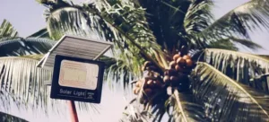 save costs and energy with solar-powered street lighting amid the palms